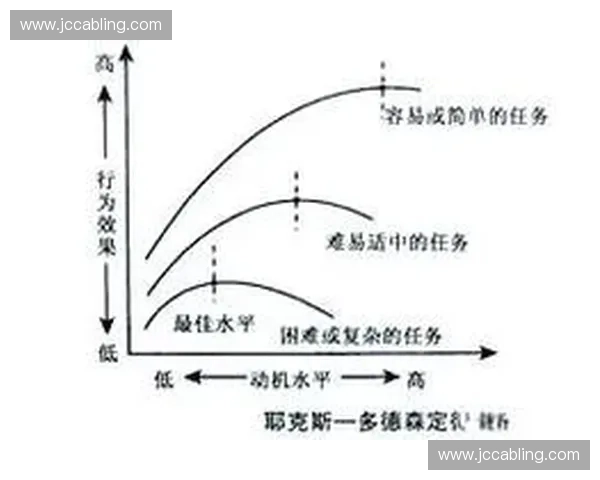 围绕力量峰值探索个体潜能释放与系统效率跃迁实现路径研究